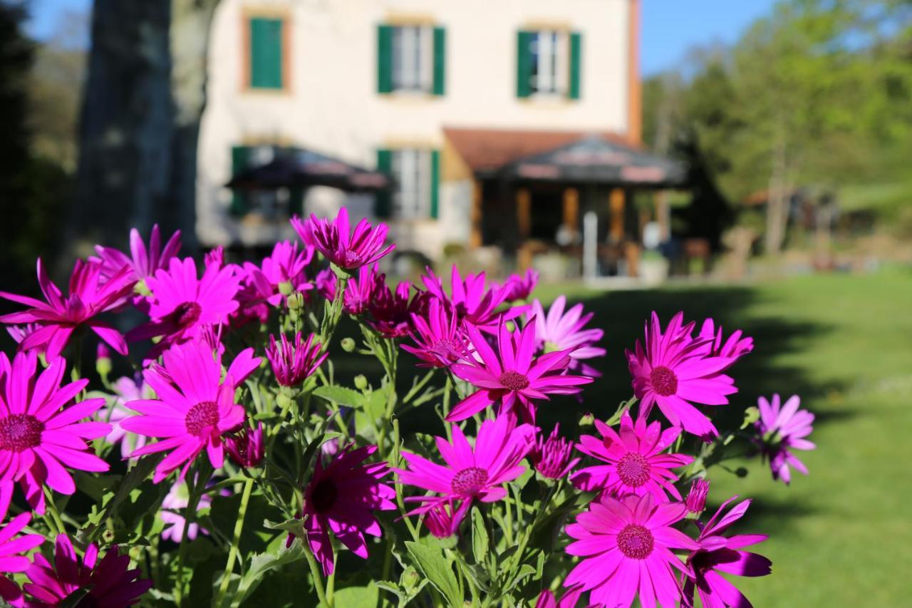 Bed and Breakfast Le Bonnet De Nuit Chalmoux Exterior foto